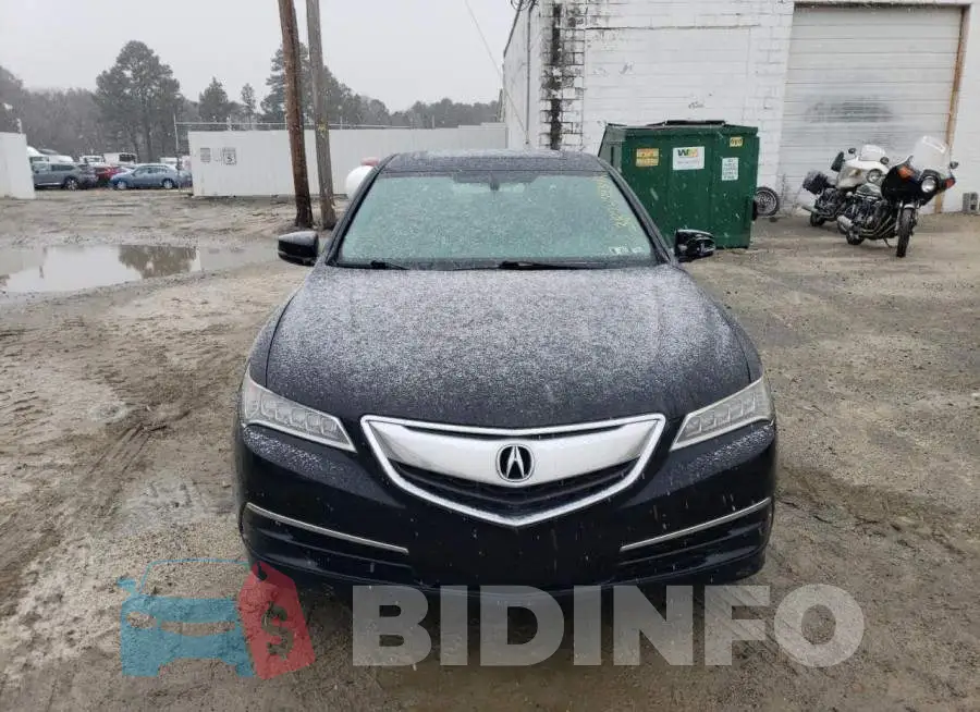 19UUB1F37FA016073 Photo# 5