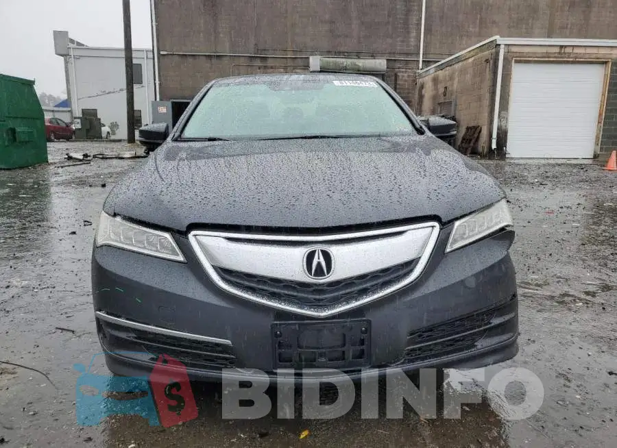 19UUB2F51GA009242 Photo# 5