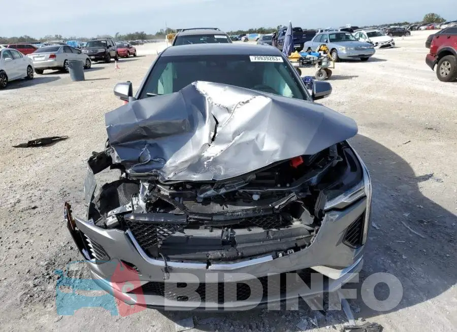 1G6DC5RK8L0146535 Photo# 5