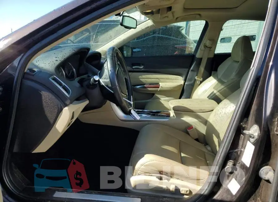 19UUB2F37FA010621 Photo# 7