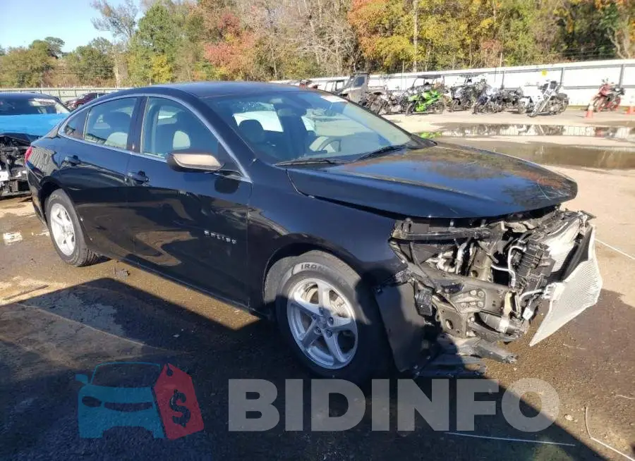 1G1ZB5ST0HF166266 Photo# 4