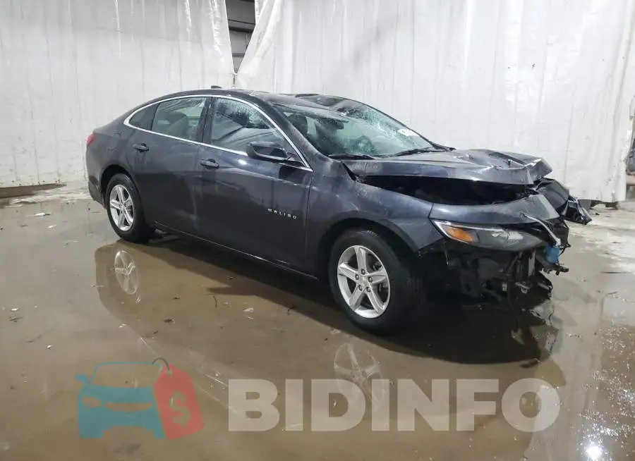 1G1ZD5ST5PF201621 Photo# 4