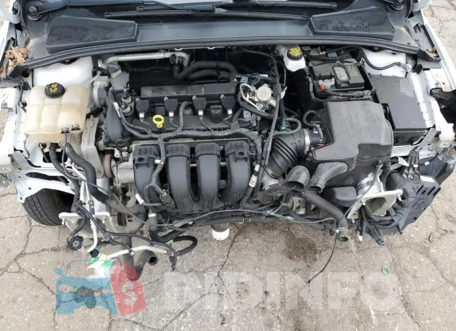1FADP3F23JL231942 Photo# 11