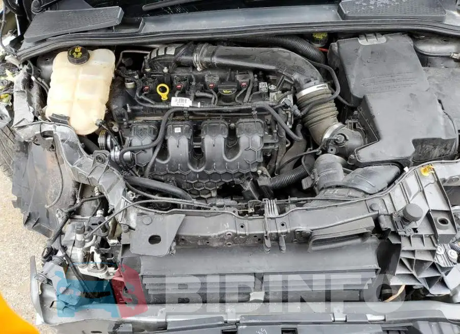 1FADP3L98GL245586 Photo# 11