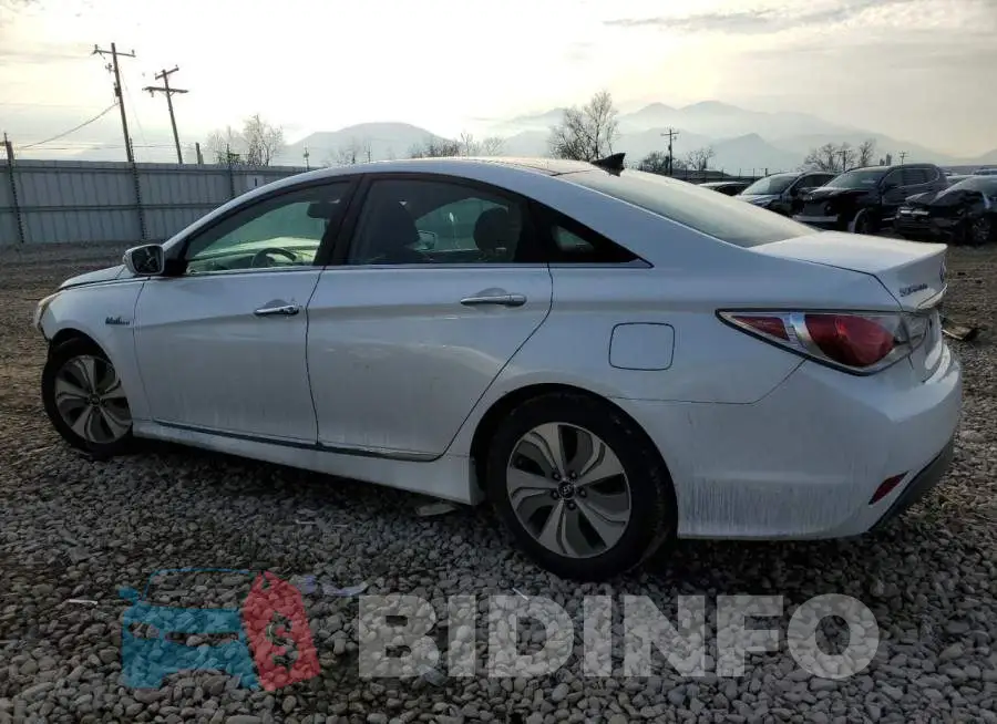KMHEC4A42FA132181 Photo# 2