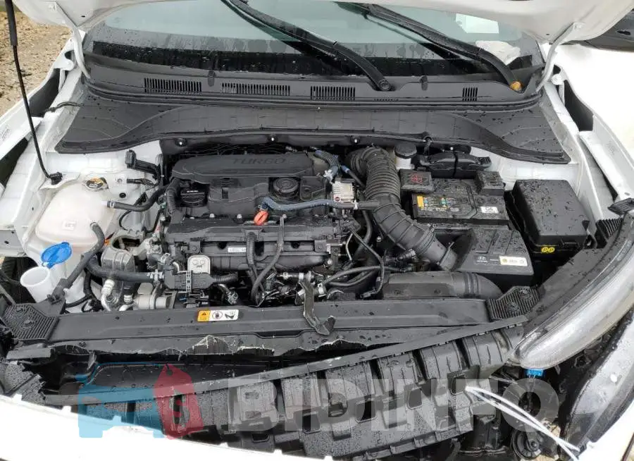 KM8K33A33PU020249 Photo# 12