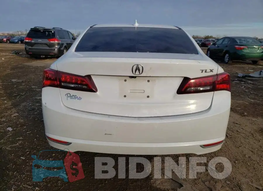 19UUB1F50FA004607 Photo# 6