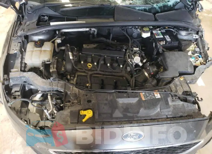 1FADP3F20HL346413 Photo# 11