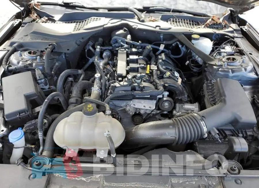 1FATP8UH2M5132408 Photo# 11