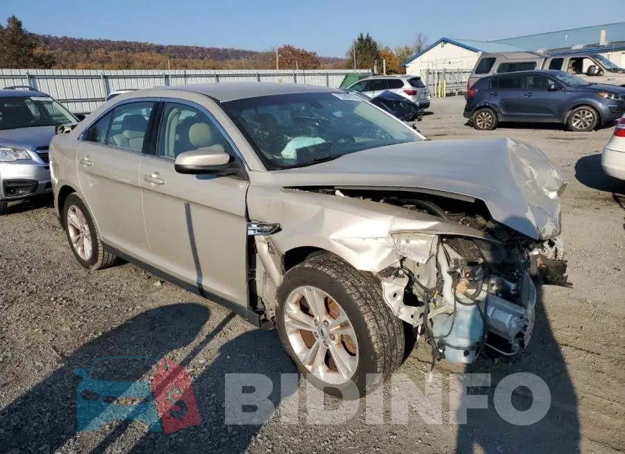 1FAHP2E85HG102654 Photo# 4