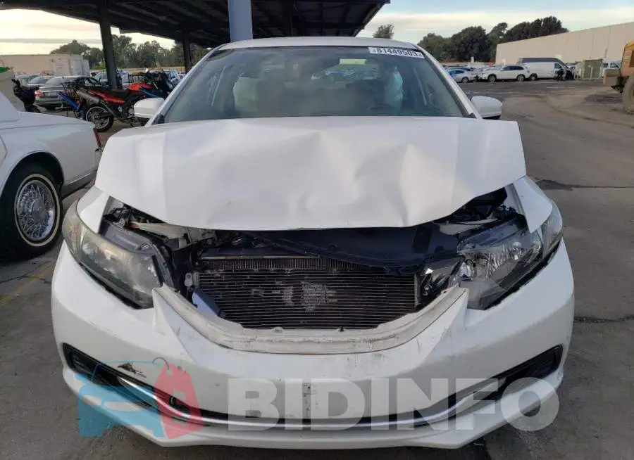 19XFB2F50FE274916 Photo# 5