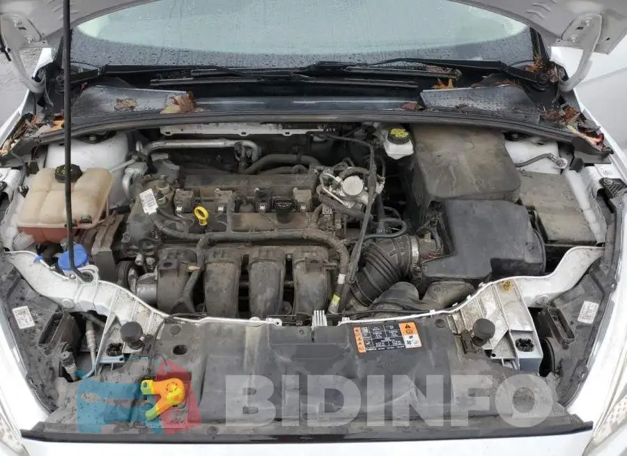 1FADP3E23HL303945 Photo# 11