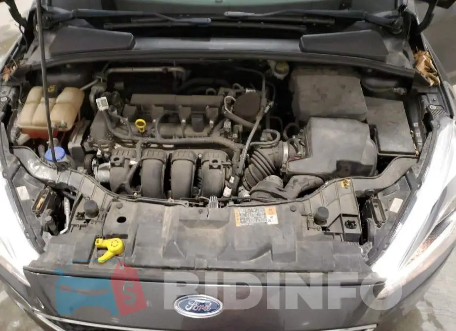 1FADP3F23GL250998 Photo# 11