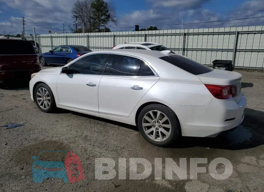 1G11F5SL3FF278865 Photo# 2