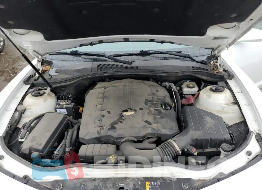 2G1FD1E30F9193071 Photo# 11