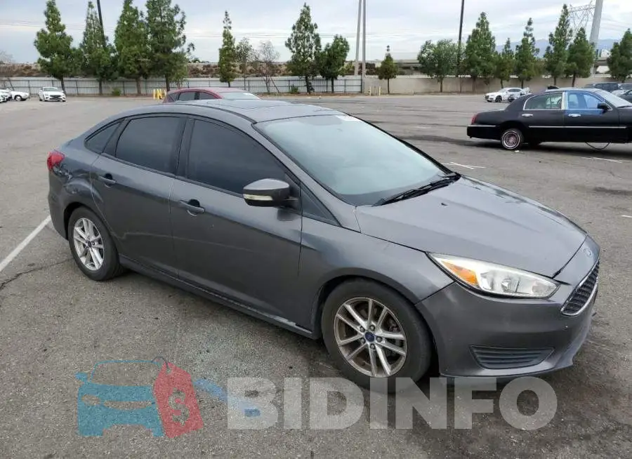 1FADP3F22GL259109 Photo# 4