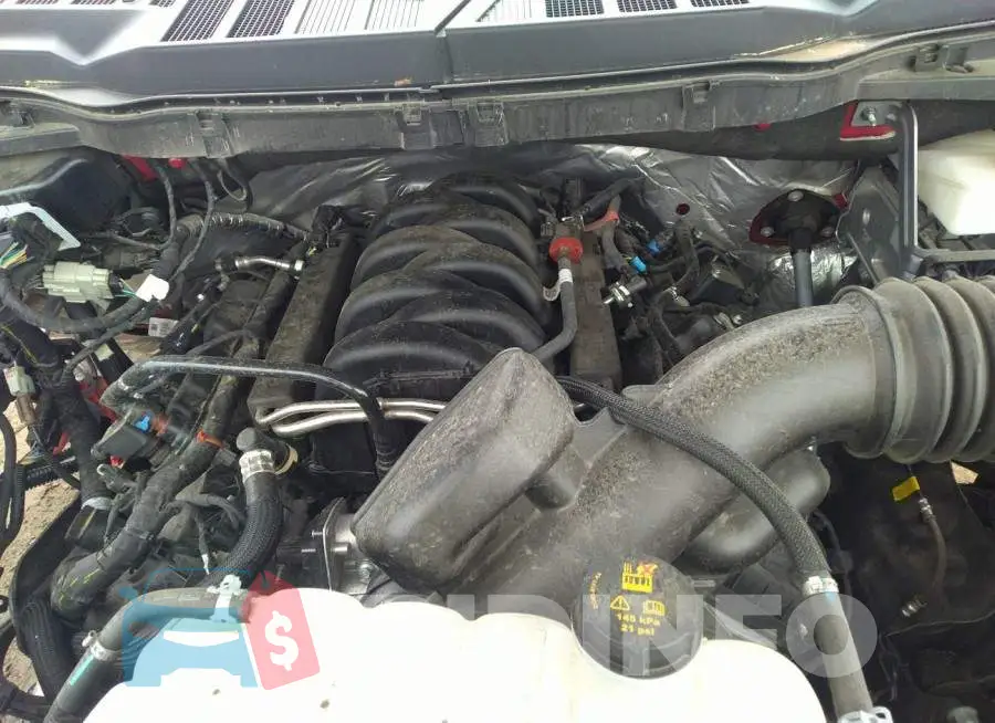 1FTEX1C51MKD81396 Photo# 10