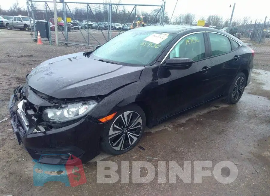 19XFC1F35GE030430 Photo# 2