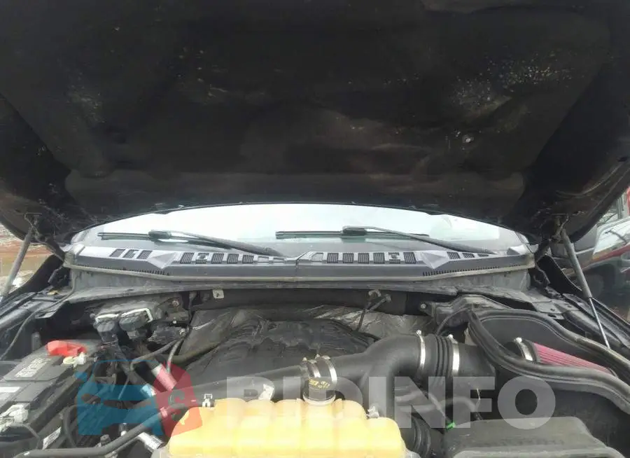 1FTFW1EG9GFC21043 Photo# 10