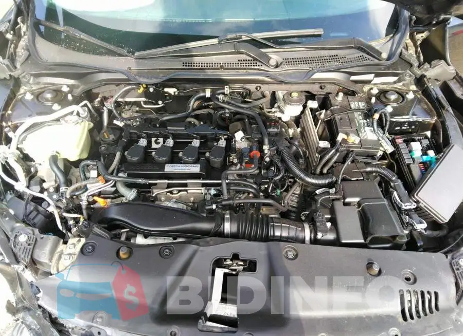 19XFC1F71GE210071 Photo# 10