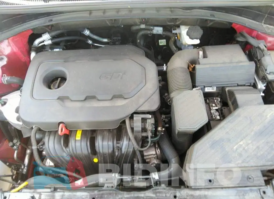 KNDPM3AC7N7001609 Photo# 10