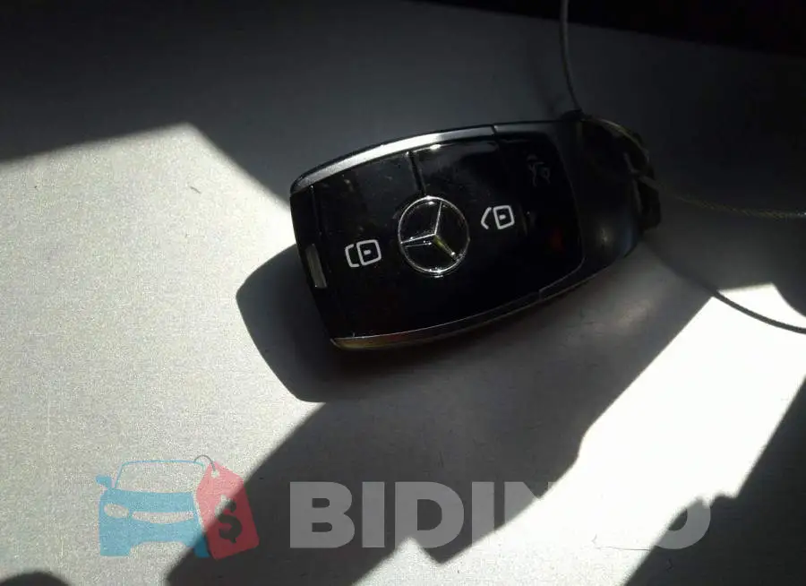 WDDZF4JB6HA241893 Photo# 11