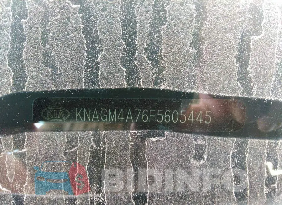 KNAGM4A76F5605445 Photo# 9