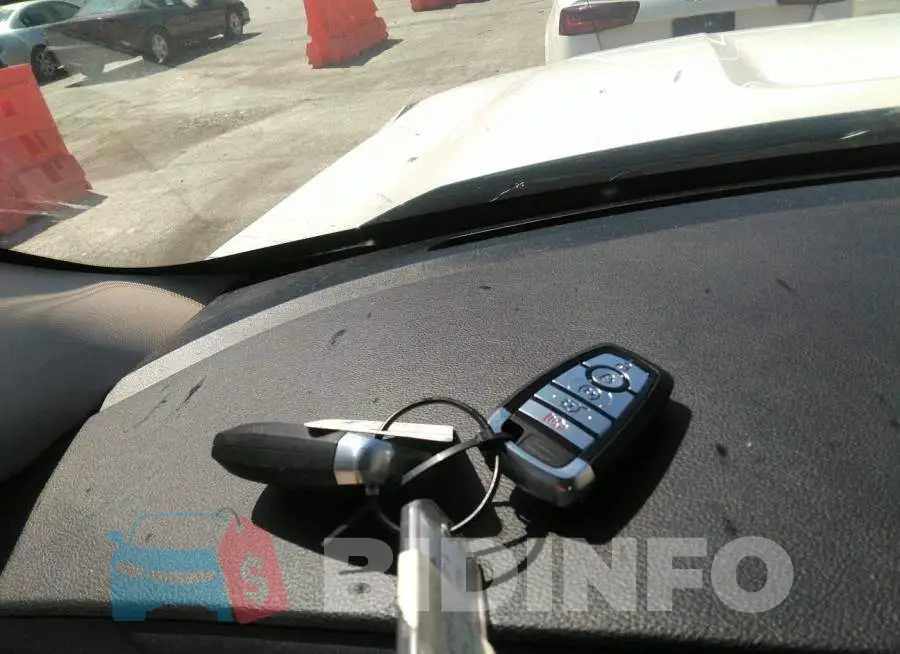 1FMSK8FH3MGB55097 Photo# 11