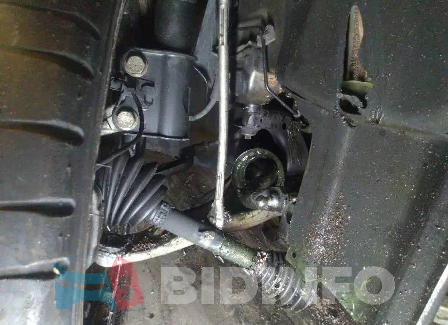 WDDSJ4GB4FN281872 Photo# 6
