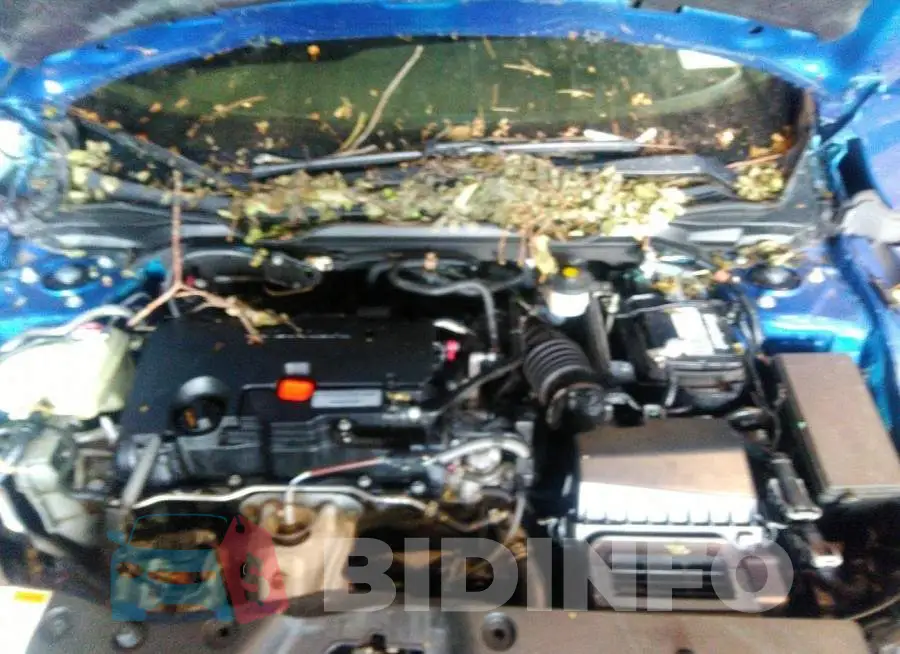 19XFC2F74HE206314 Photo# 10