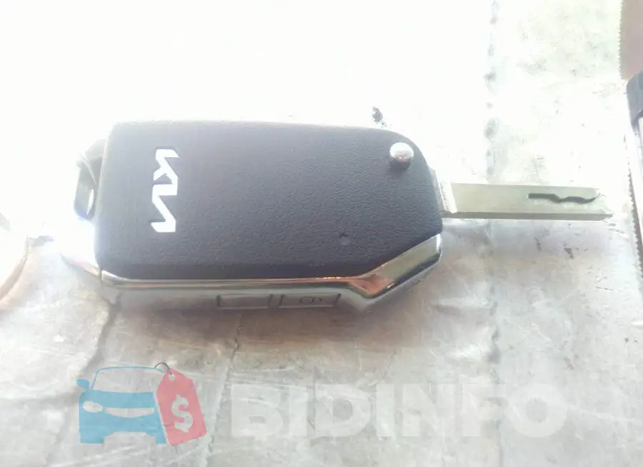 KNDPU3AFXP7035749 Photo# 11