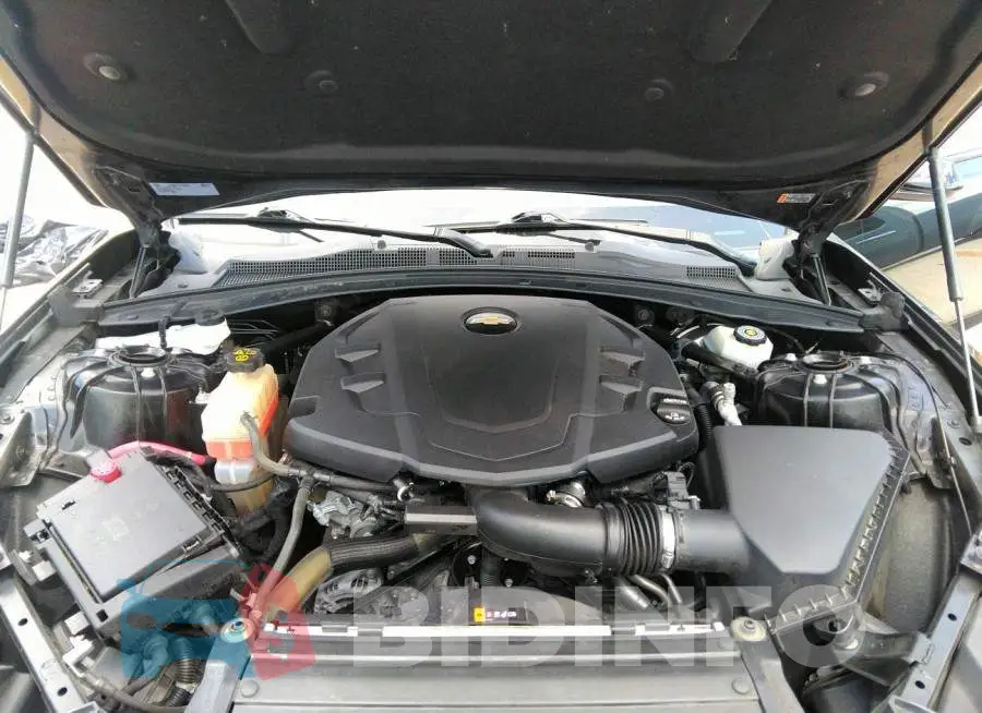 1G1FB1RS5H0204800 Photo# 10
