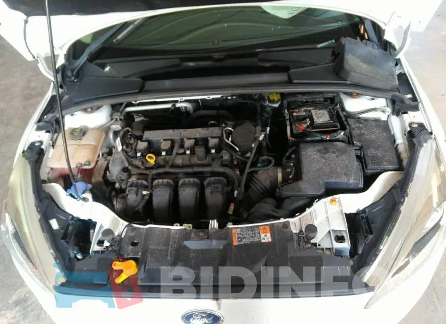 1FADP3K28GL217789 Photo# 10