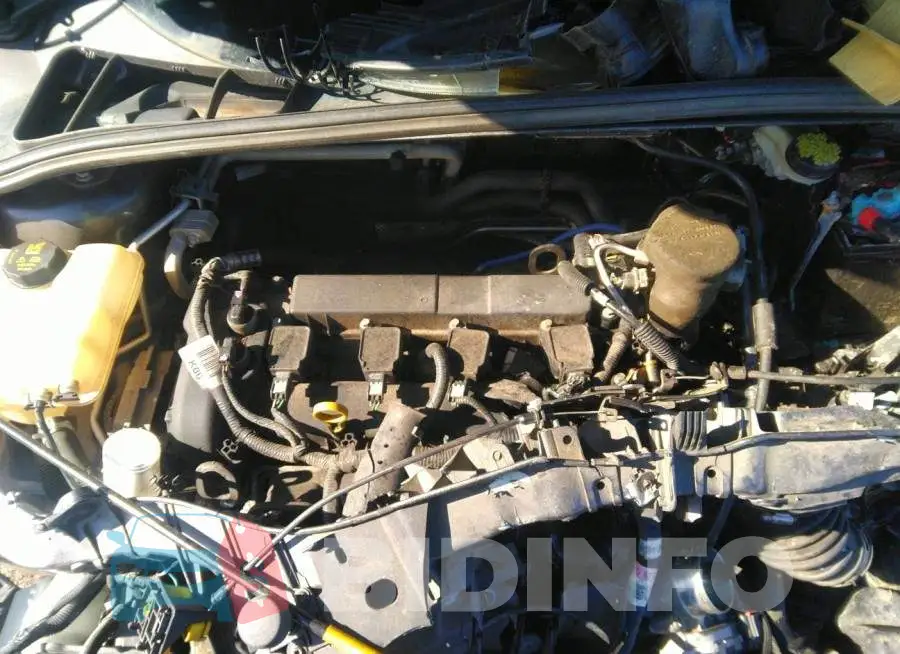 1FADP3F26FL302428 Photo# 10