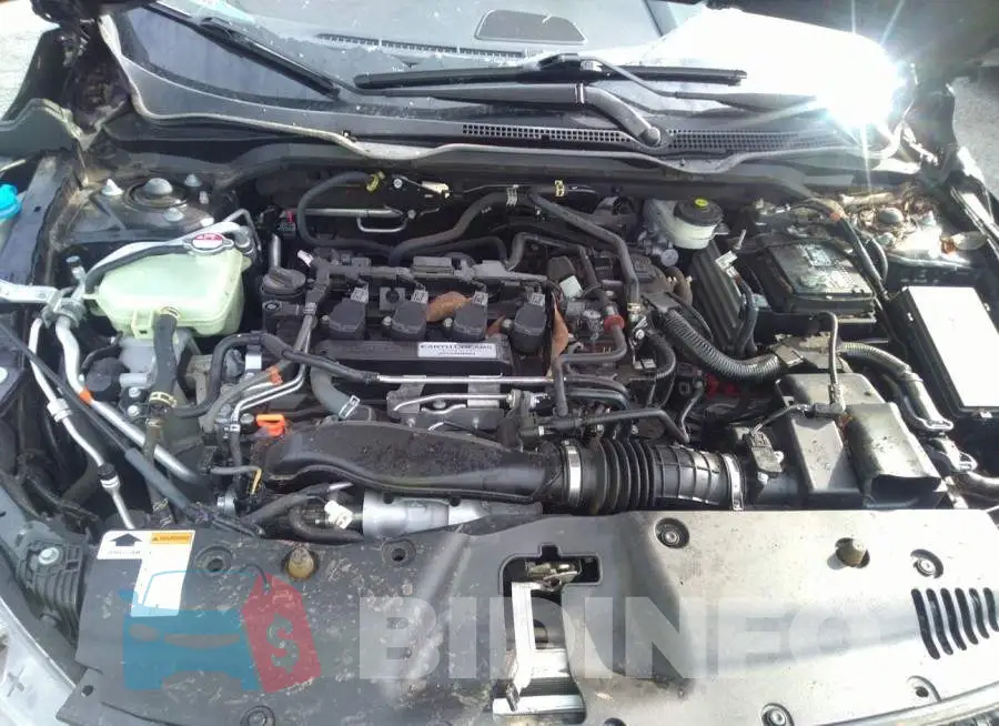 19XFC1F97GE030725 Photo# 10