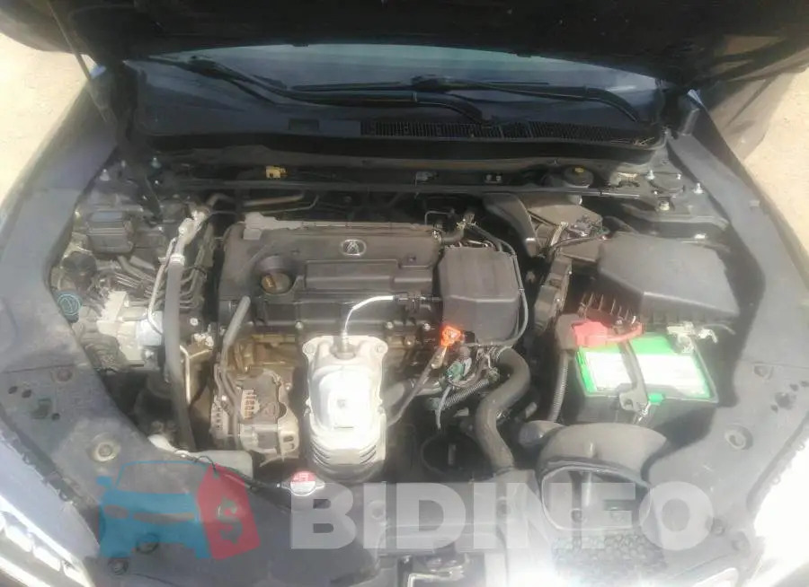 19UUB1F31FA018689 Photo# 10