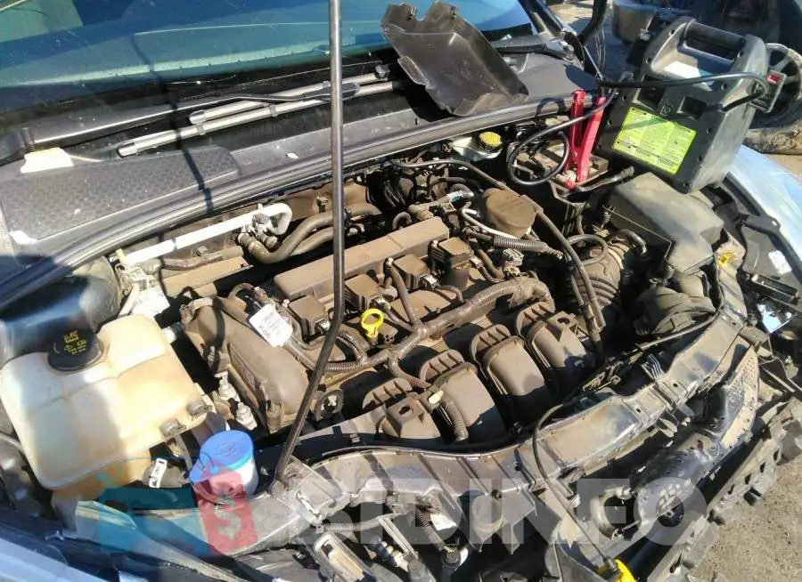 1FADP3E29FL294522 Photo# 10