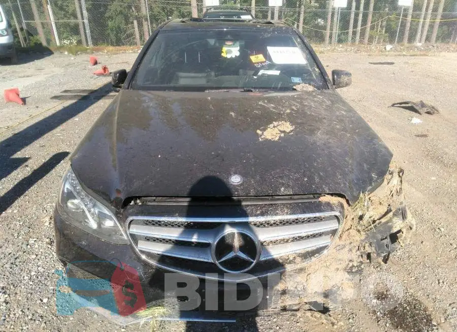 WDDHF8JB5GB300346 Photo# 6