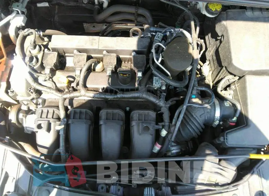 1FADP3F24GL261153 Photo# 10