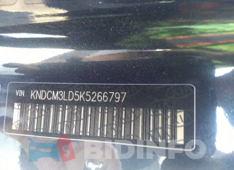 KNDCM3LD5K5266797 Photo# 9