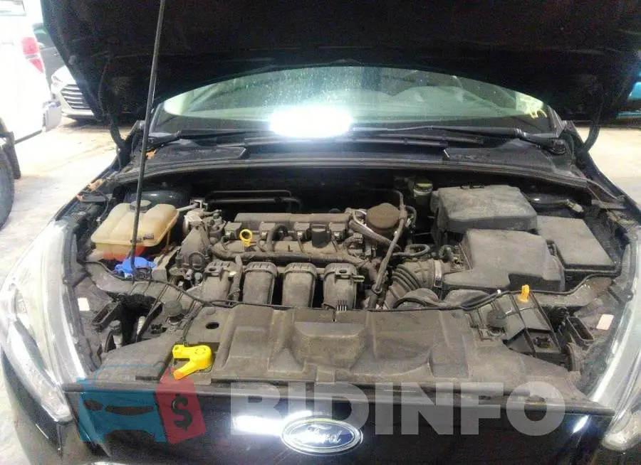 1FADP3F20GL226867 Photo# 10