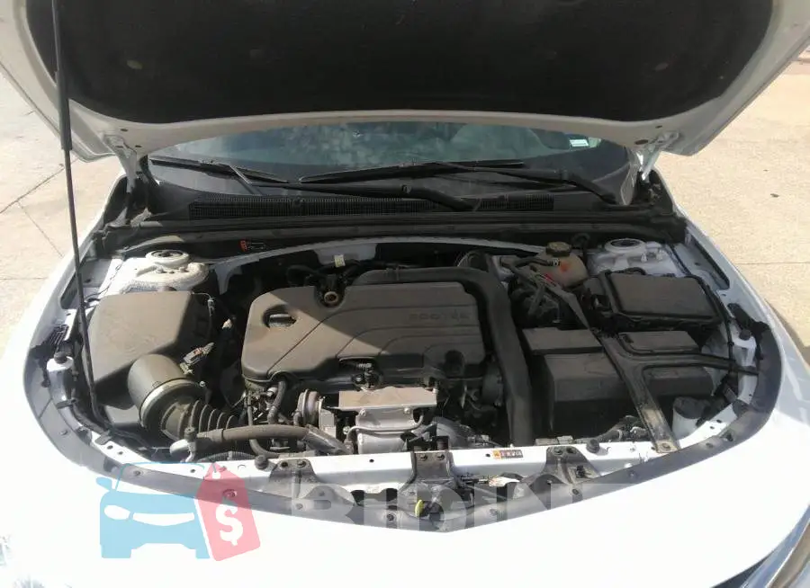 1G1ZD5ST2LF033611 Photo# 10