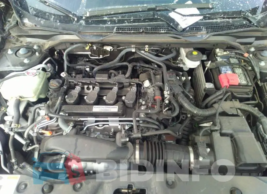19XFC1F32KE208013 Photo# 10