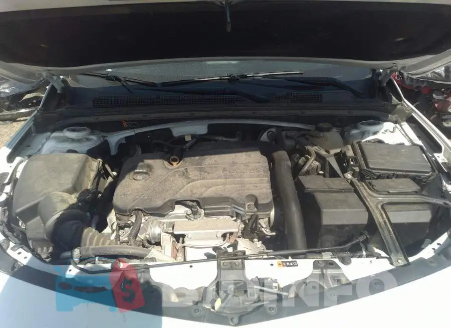 1G1ZB5ST5JF207996 Photo# 10