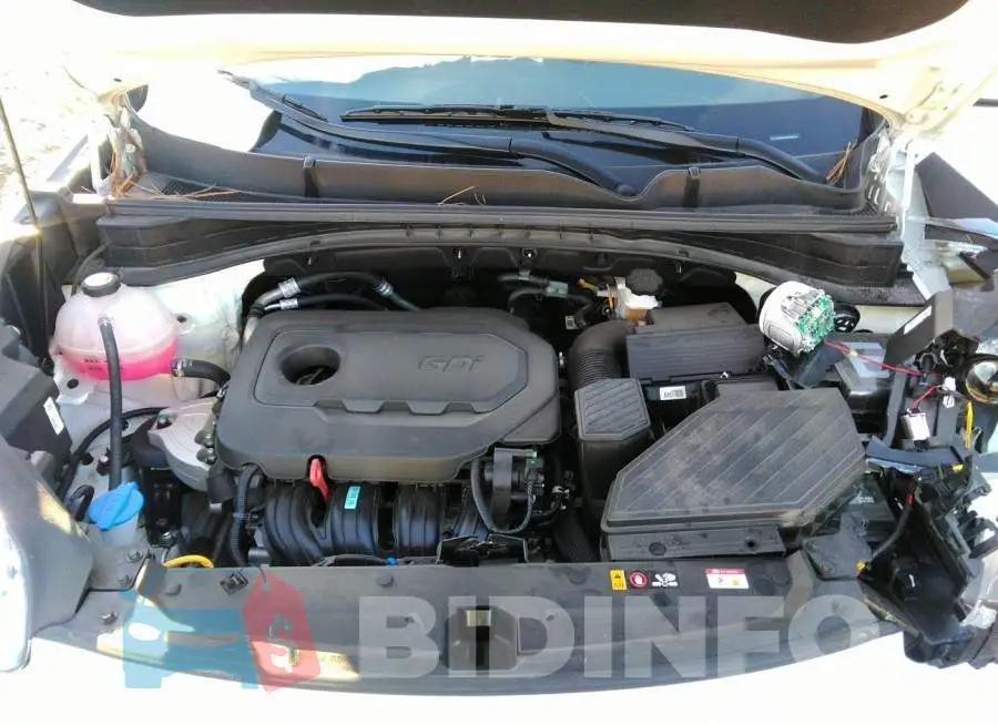 KNDPM3AC3M7943364 Photo# 10