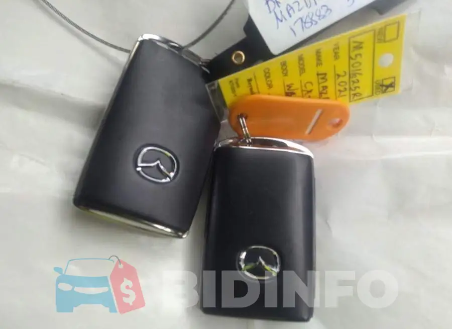 JM1DKFB70M1501625 Photo# 11