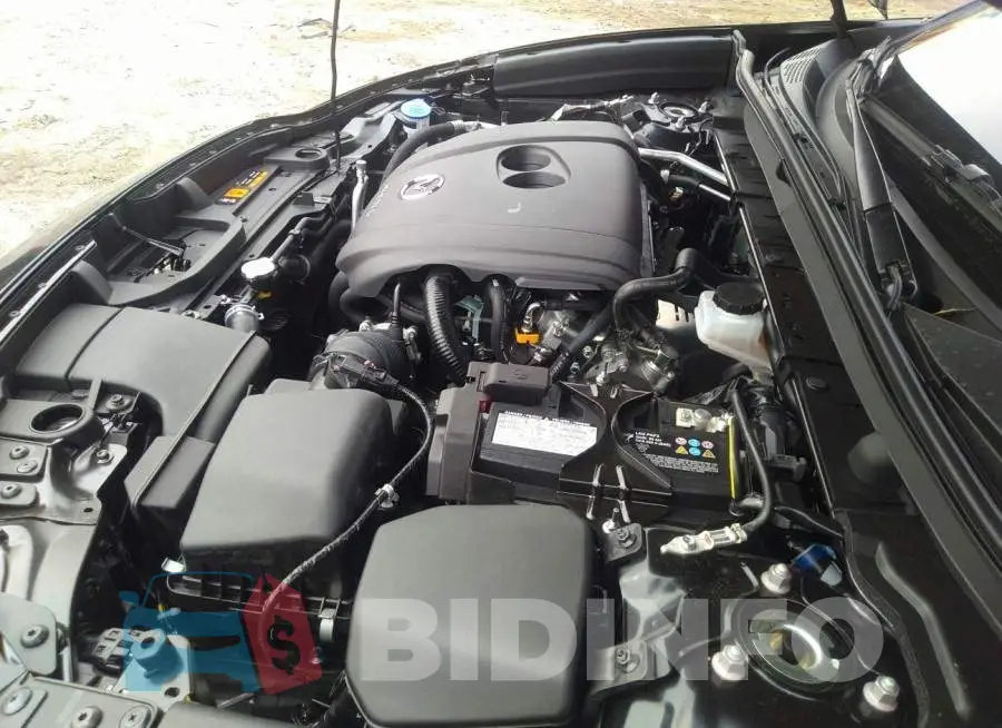 3MVDMBDL0MM319812 Photo# 10
