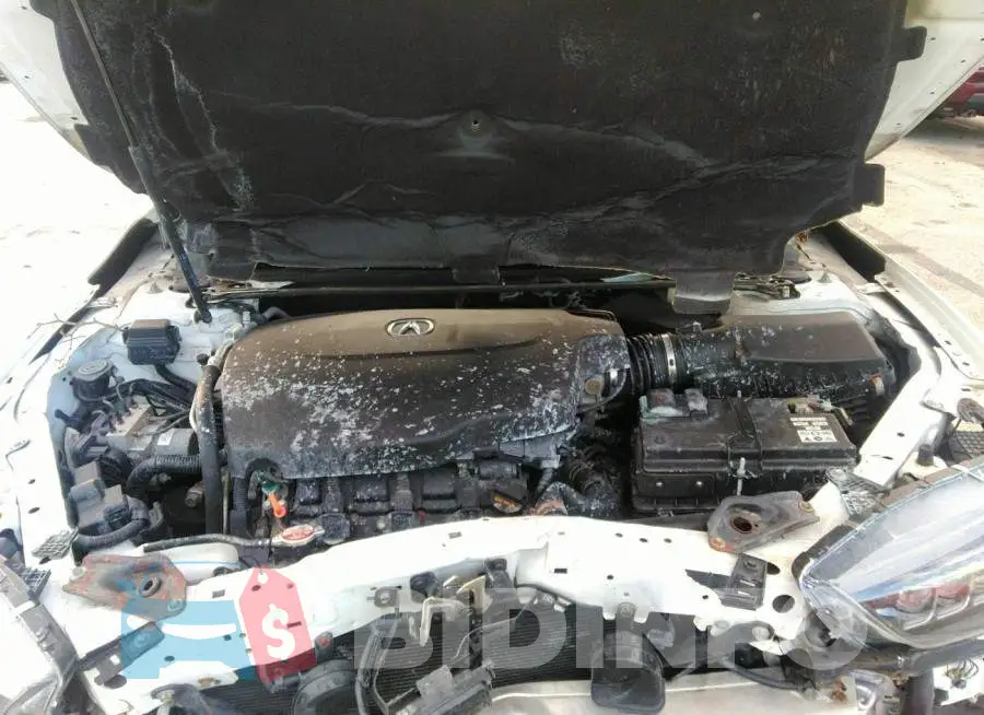 19UUB3F68KA006927 Photo# 10