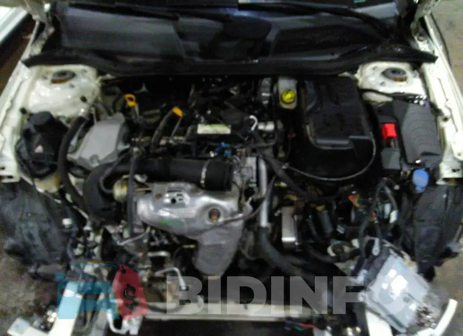 00DSJ4EB7JN561832 Photo# 10