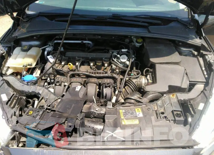 1FADP3F20GL401523 Photo# 10